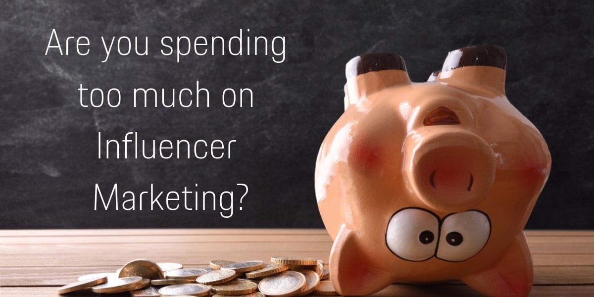 Influencer Marketing Spend | How Much to Pay Social Media Influencers | THAT Agency