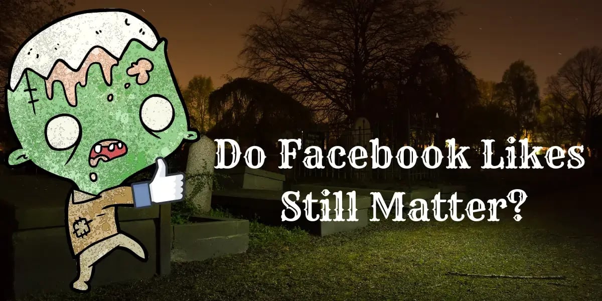 Facebook Page Likes  Facebook News Feed Algorithm  THAT Agency