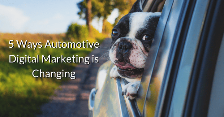 Automotive Digital Marketing | THAT Agency