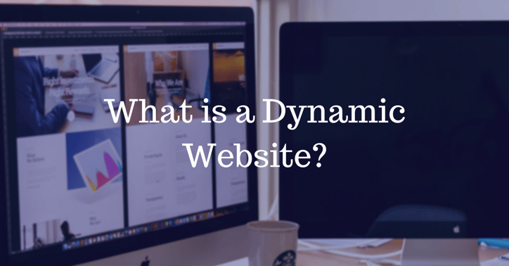 What is a Dynamic Website | THAT Agency