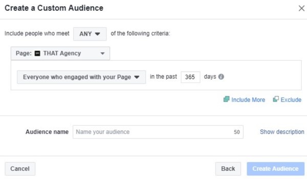 Facebook Custom Audience | Social Media Platform | THAT Agency