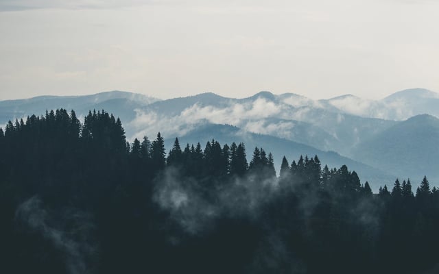 mountains-clouds-forest-fog.jpg